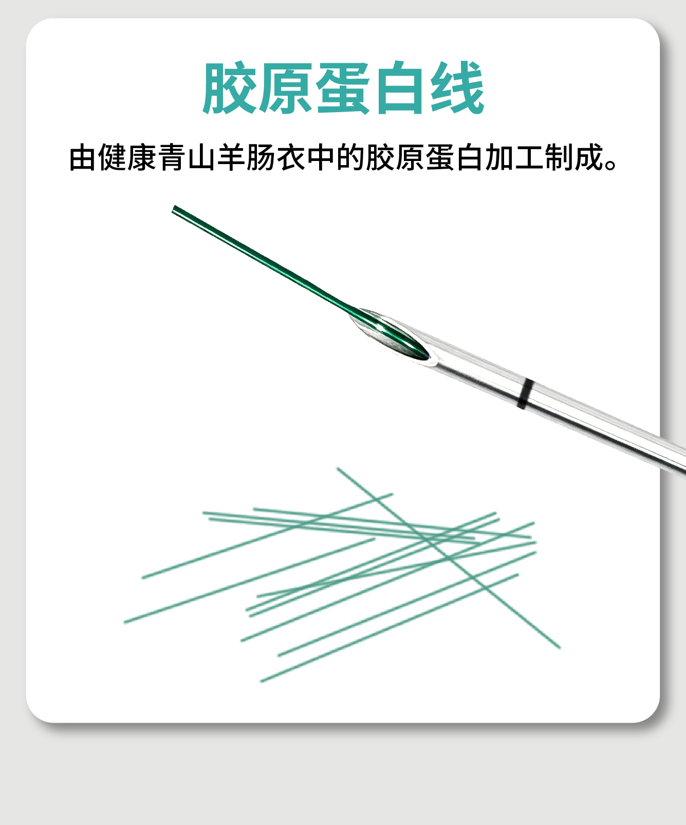 可吸收性外科缝线——胶原蛋白-12.jpg